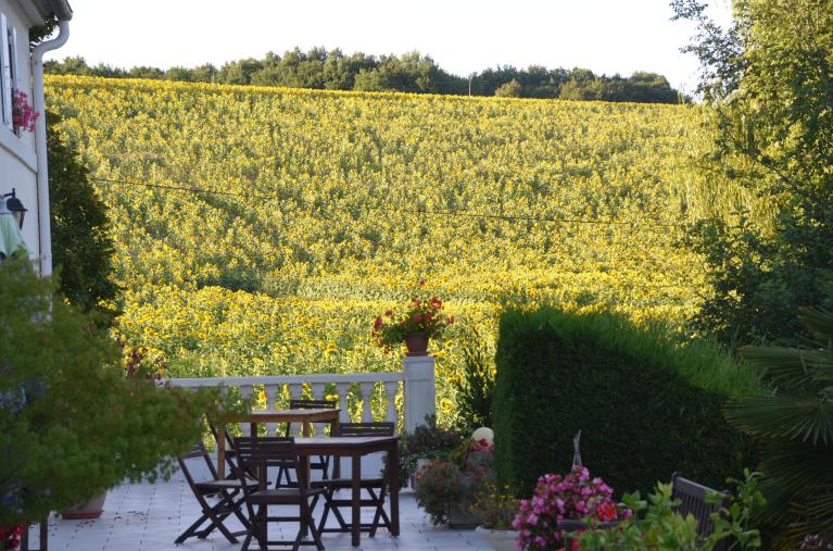 la terrasse